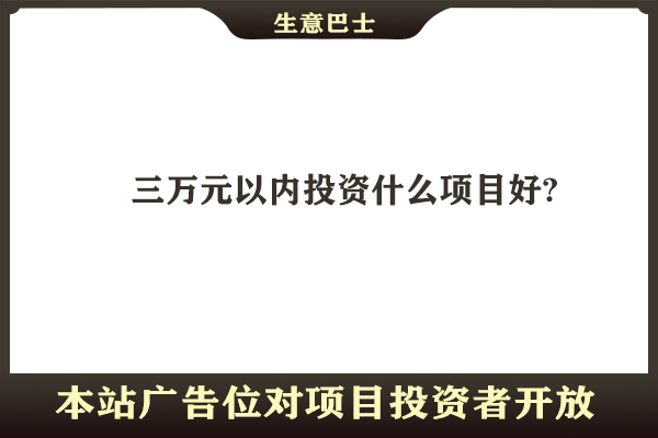 投資小項目