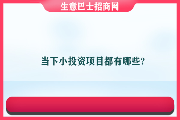 投資小項目