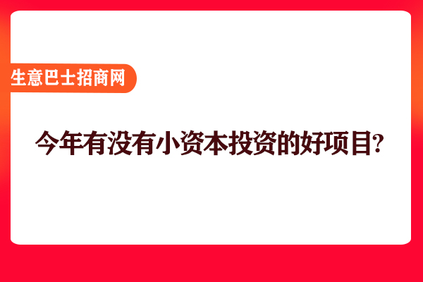 投資小項目