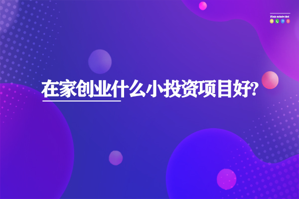 在家創(chuàng)業(yè)什么小投資項目好?
