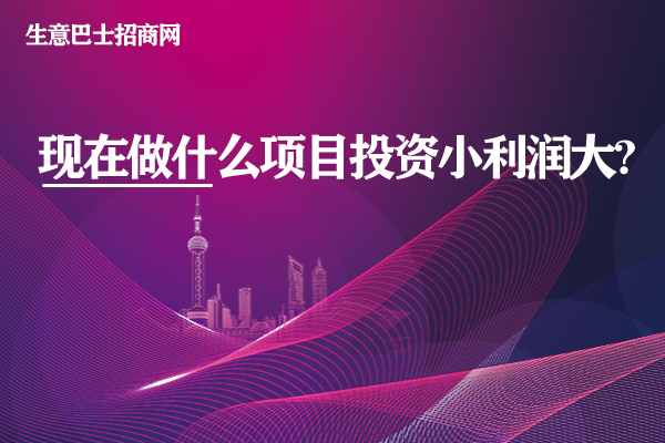 現在做什么項目投資小利潤大?